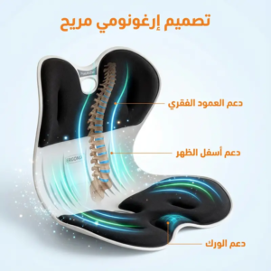 Chaise ergonomique et Orthopédique